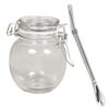 Glass Jar with Lid + Stainless Steel Straw with Filter