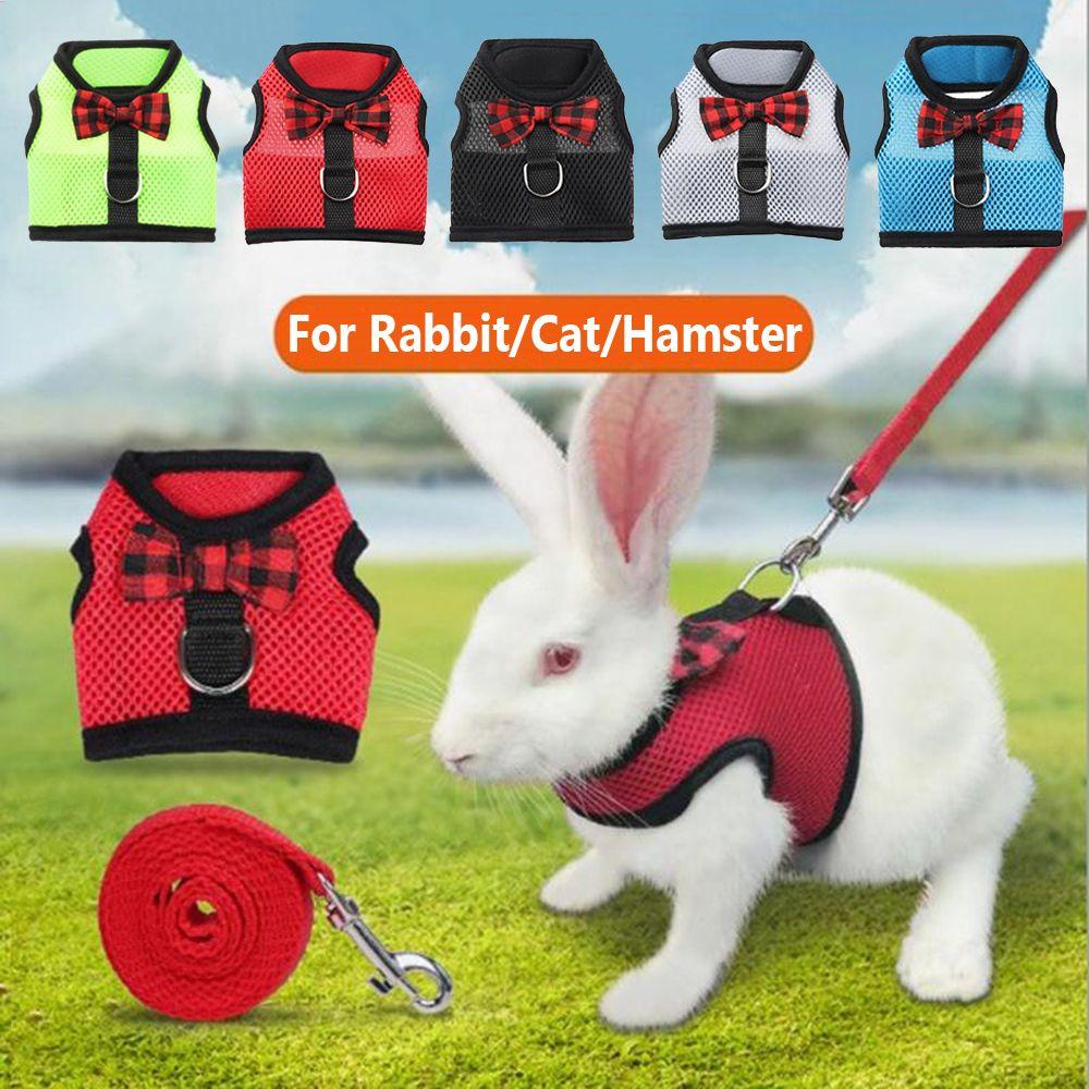 Ferret Small Animals Pet Lead Bunny Mesh Chest Hamster Vest Harness Rabbit Leash Collar