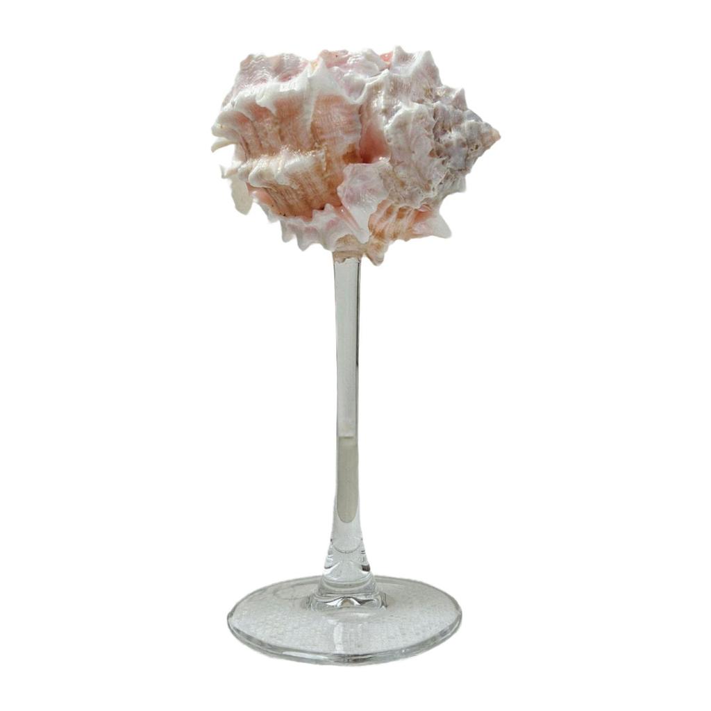 Conch Shell Champagne Glass Cup Home Decor Champagne Cup Goblet for Women Men Ad