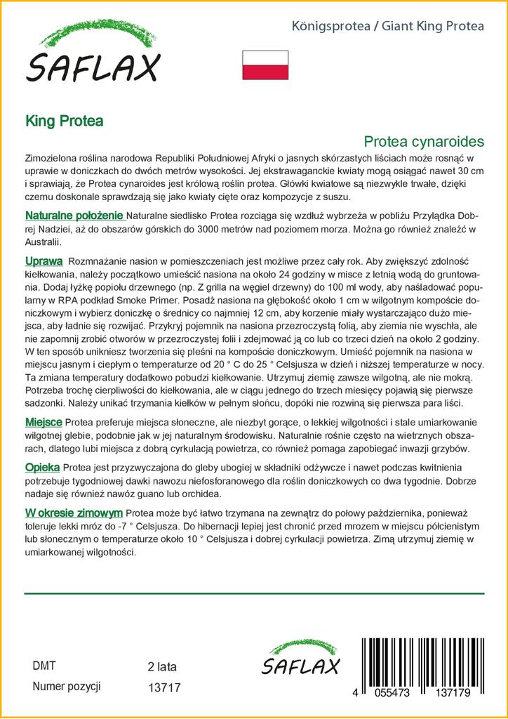 SAFLAX Giant King Protea - 5 семян - С горшечным субстратом для лучшего выращивания - Protea cynaroides