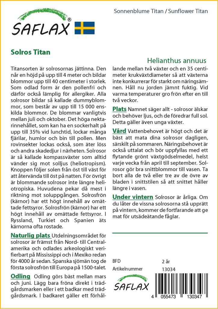 SAFLAX Подсолнечник Титан - 20 семян - Helianthus annuus