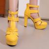 Женские босоножки на высоком каблуке весна и лето новые в европейском и американском стиле водонепроницаемые римские сандалии на толстом каблуке большого размера