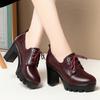 Мягкая подошва женские удобные весенне-осенние туфли с глубоким носком на шнуровке повседневные водонепроницаемые туфли на платформе с высоким каблуком женские