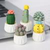 Mini Cute Succulent Plant Pots Resin Dollhouse Miniature Succulent Potted Cactus Car Ornament