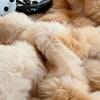 Плюшевые согревающие простыни на двуспальную кровать Зимние мягкие удобные защитный чехол для матраса кровати Эластичная лента Дизайн Натяжная простыня Постельное белье