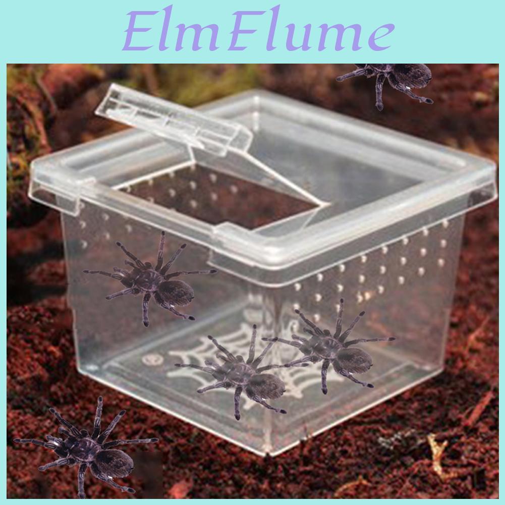 Flip Breeding Box Reptile With Cover Transparent Breathable For Frogs Snake Spider Portable Reptile Terrarium Habitat