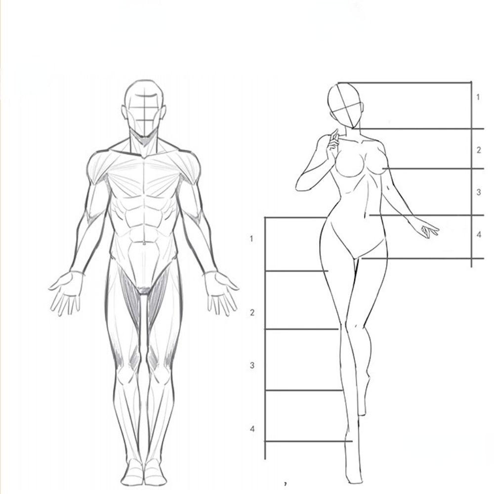 Art Copy Practice Book Hand Painted Tutorial Books Line Draft Practice Books Art Tracing Sketch