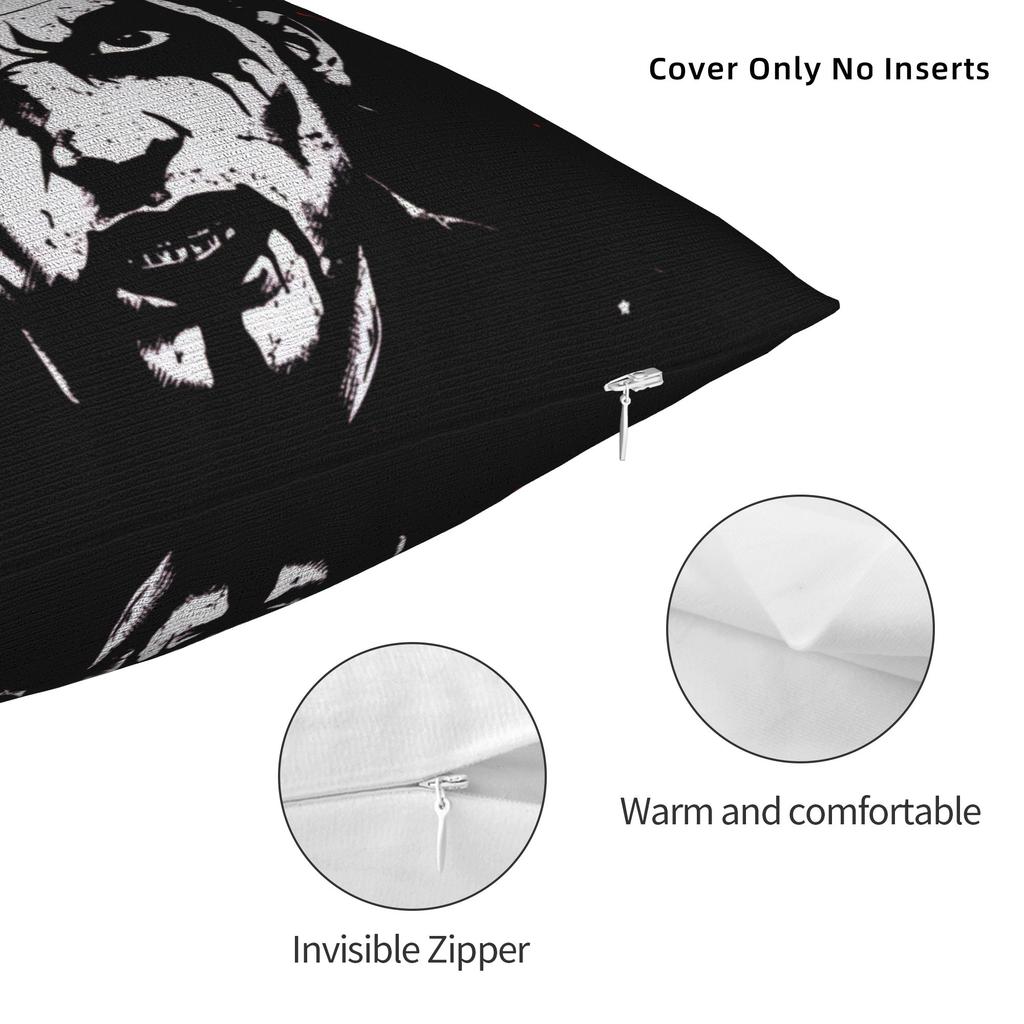 Danhausen Mask Wrestler Pillowcase Printing Cushion Cover Decorations Throw Pillow Case Cover Living Room Multiple Sizes