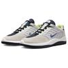Nike Кроссовки Vertebrae SB Summit White Persian Violet Unisex, кремово-платиновый оттенок, темно-обсидиановый FD4691-101
