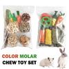 Engaging Dental Chew Toys for Rabbits, Guinea Pigs, and Cats - Fun & Healthy Snack Set