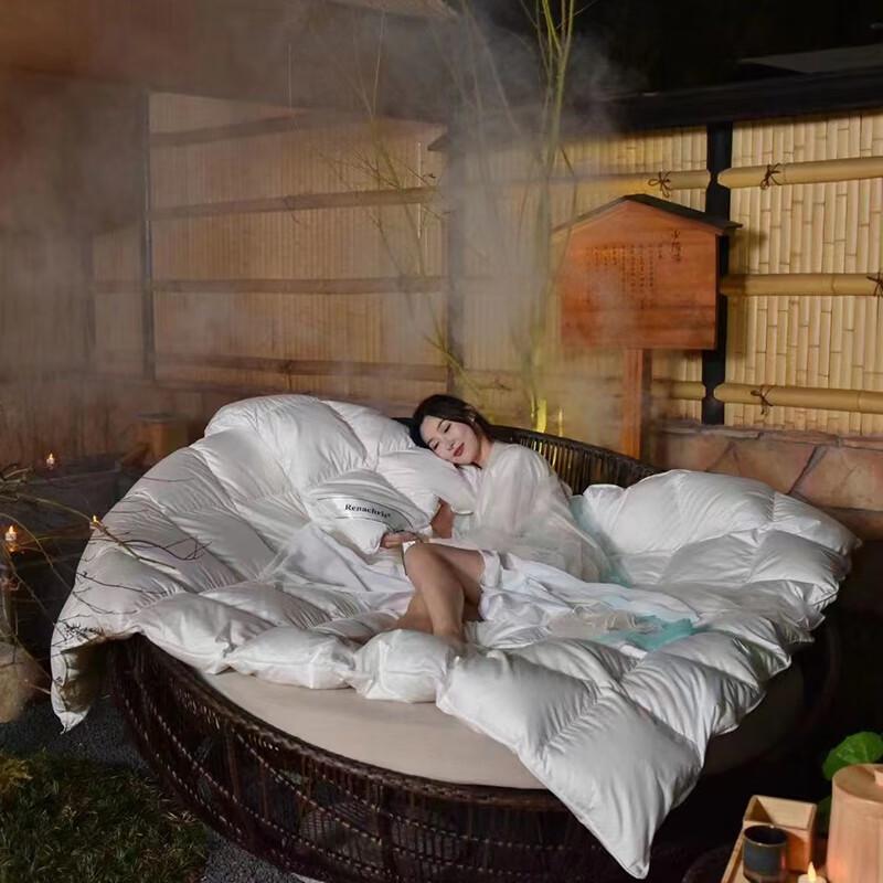 Impression Collection Winter Warm Goose Down Quilt