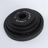 Long Zhan Cast Iron Barbell Plate