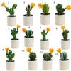 Mini Bonsai Non-Fading Landscaping Plastic Simulation Succulent Plants Table Decoration