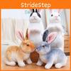 Zodiac Rabbit Easter Plush Toy Cartoon Stuffed Doll Room Decoration Gift Kids