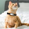 No WiFi Required Cat and Dog Collar Camera with Video Recording Movement, Mini Body Camera Indoor/Outdoor Wireless Collar