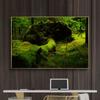 Натуральный зеленый лес свежий мох холст картины настенное искусство зеленое дерево растение искусство постеры и принты для декора гостиной без рамки
