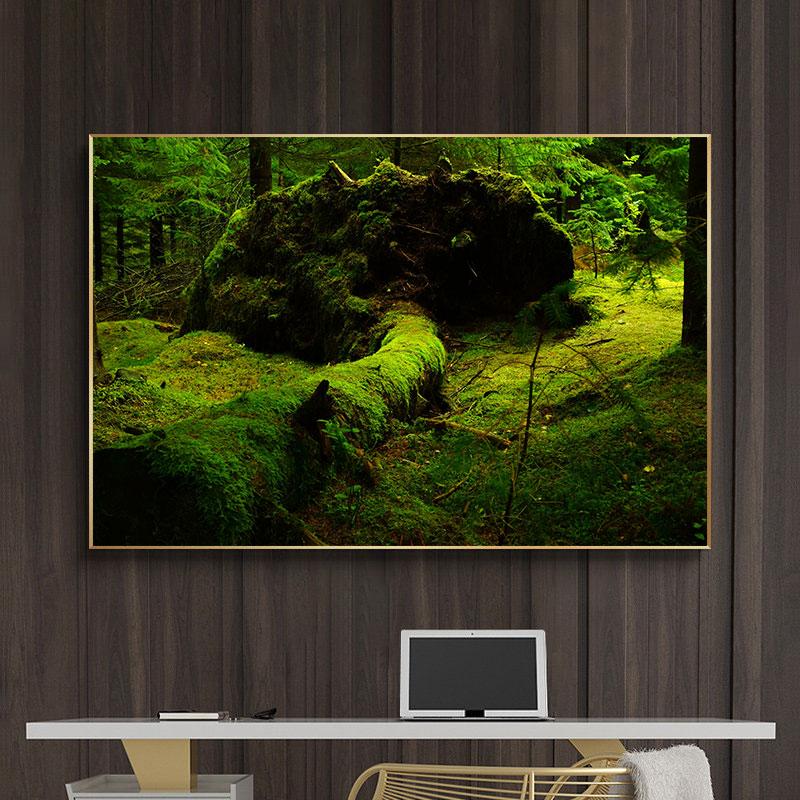 Натуральный зеленый лес свежий мох холст картины настенное искусство зеленое дерево растение искусство постеры и принты для декора гостиной без рамки