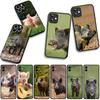 Wild Boar Pig Phone Cover for Samsung Galaxy A36 A17 A26 A07 A35 A54 A53 A13 A33 A34 S8 S9 S20 S21 FE S10 Plus Case