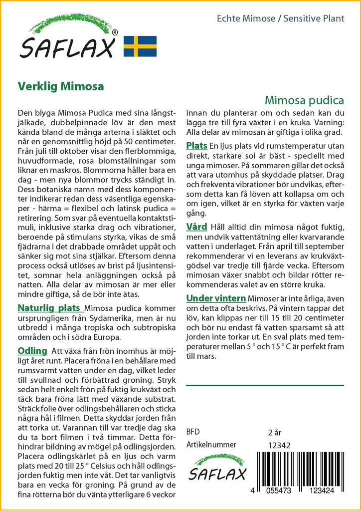 SAFLAX Sensitive Plant - 70 семян - С горшечным субстратом для лучшего выращивания - Mimosa pudica