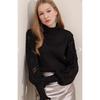 Women's Half Turtleneck Lace Detailed Sweater