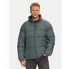 Пуховик Dickies Waldenburg DK0A4XP20LN зеленый Regular Fit