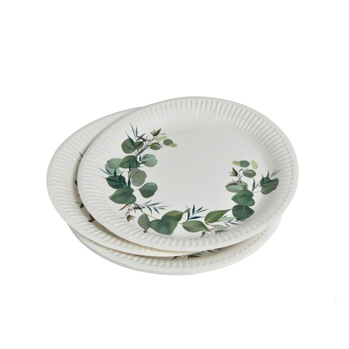 Set de 10 assiettes en carton 23 cm Branche d&amp;#39eucalyptus