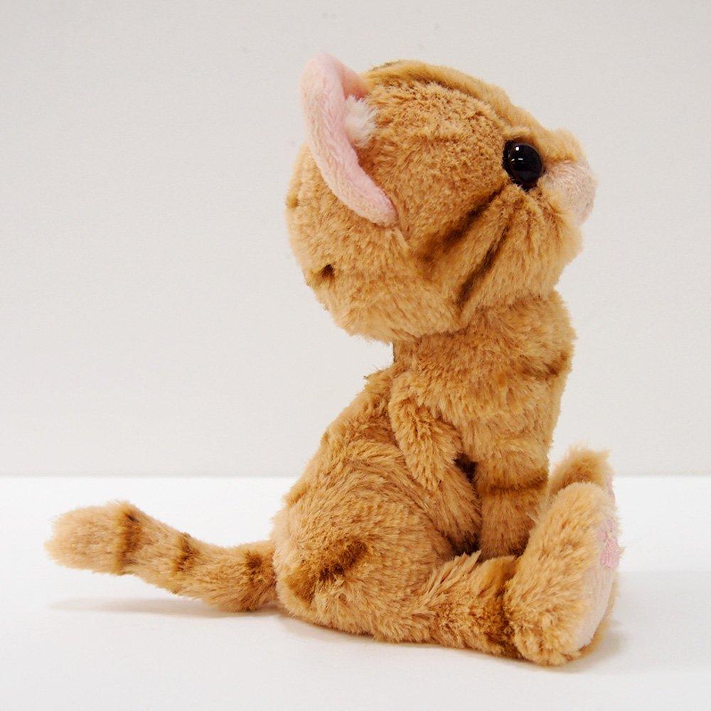 Sun Lemon Kitten American Shorthair Brown 14.9 x 16.3 x 7.2cm Stuffed Animal Cat P-7531