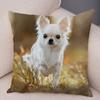 Cute Pet Animal Pillowcase Decorative Cute Puppy Chihuahua Pillowcase Soft Plush Cushion Cover for Car Sofa Home 45x45cm