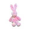 Rainbow Rabbit Doll, 38cm, Pink, Popular Toys for Korean Children
