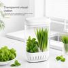 Preservation Cilantro Hydroponic  Box Clear Vegetable Container  For Refrigerator