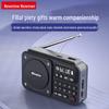 Портативное Bluetooth-радио и плеер историй Newmine N123 (Китайская версия)