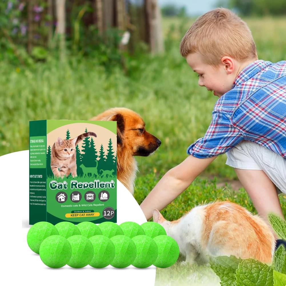12 Pack Cat Deterrent Outdoor Indoor Natural Peppermint Oil Dog Repellent Keep Cats Off Yard Garden Lawn Plants