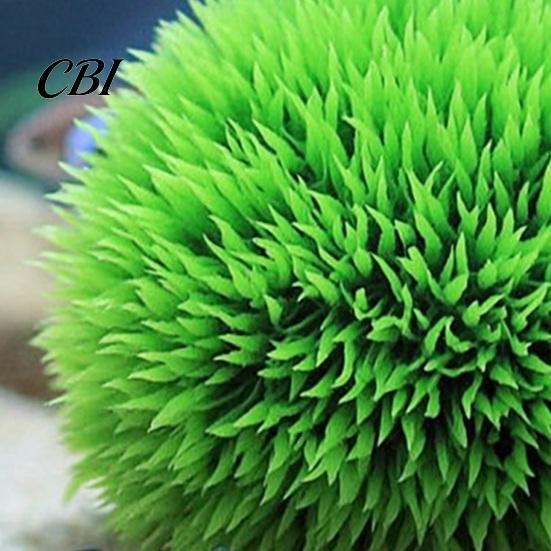 Turtle Safe Tank Decoration Artificial Water Plant, Natural Color Dense Grass Shape Aquarium Plants, Soft Plant With Base Plastic Fake Plants for Fish