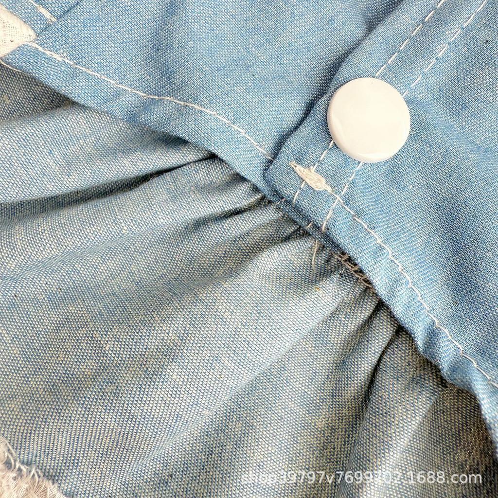 Spring and Summer Cowboy Princess Skirt Pet Dog Cat Clothes Skirt Than Bear Dog Skirt