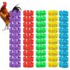 100pcs Plastic Poultry Ankle Bands Mixed Colour Bird Leg Sign Rings  Chicken Identification