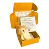 Mini Bear Hug Cute Stuffed Animal Gifts,Pocket Teddy Bear Mini Plush Bears In Box,Pocket Bears With Inspirational Card