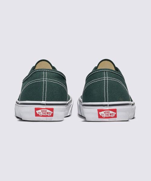 Vans Аутентичный - (Теория цвета) Жук-скарабей VN000D7YPRM1