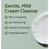 iUNIK Centella Mild Cleansing Foam (120ml)