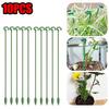 10Pcs Plant Supports Stakes Flower Stand Sticks Reusable Plant Clips Bonsai Fixing Tool Flower Grow Holder Garden Decor Supplies