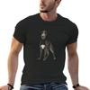 Fashion O-Neck 3d Print T-shirt Irish Wolfhound T-Shirt Anime T-shirt Anime Clothes Funny T Shirt Men Workout Shirt