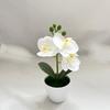 Multi-Bloom Simulated Butterfly Orchid White Flower Pot Plastic Fake Flower  Home Decor