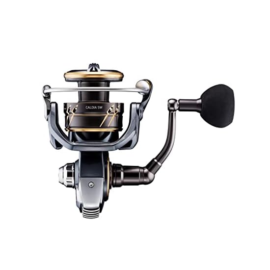 DAIWA Spinning Reel 22 CALDIA SW 8000-H (2022 Model)