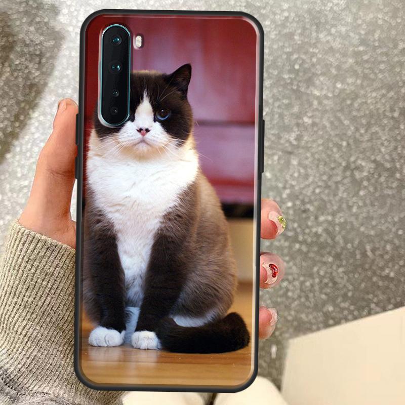 Чехол для телефона OnePlus с изображением британской короткошерстной кошки 15 13 12 11 10 10R 12R 13R 15R 13T 10T 8T Nord 5 CE 2 3 4 Lite N20 N30