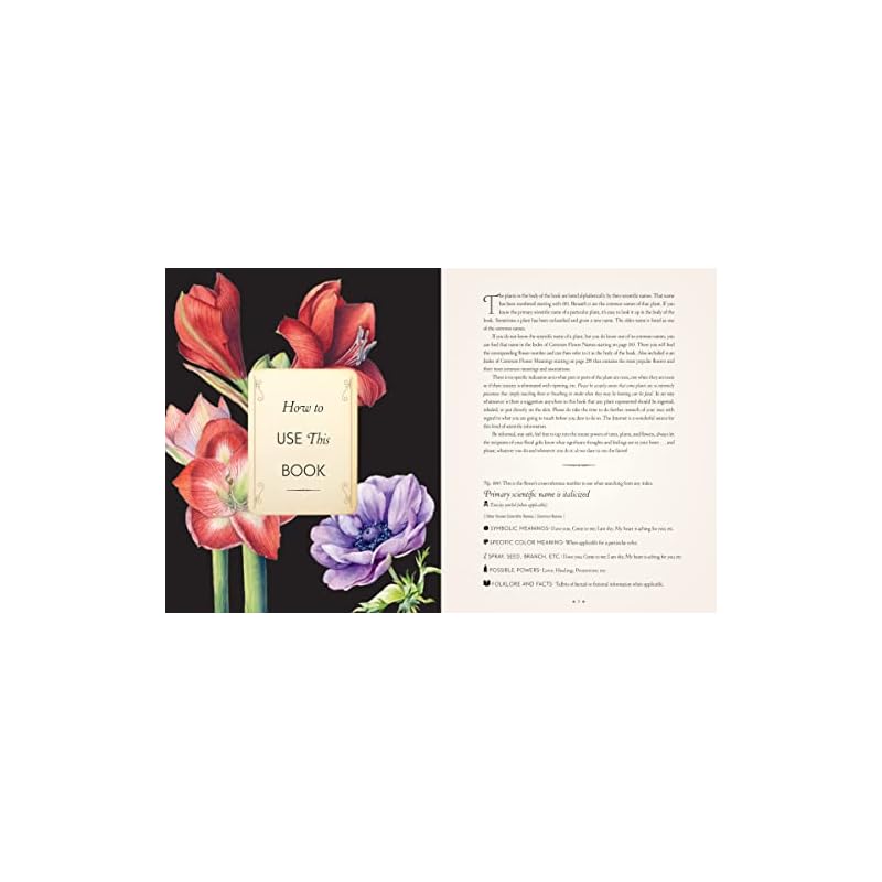The Complete Language of Flowers: A Definitive and Illustrated History Pocket Edition (Complete Illustrated Encyclopedia)