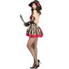 Sexy Female Pirate Costume Queen Costume, Cosplay, Halloween Party Costume Set