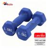 Shuangyu Frosted Dipped Dumbbells & Rack