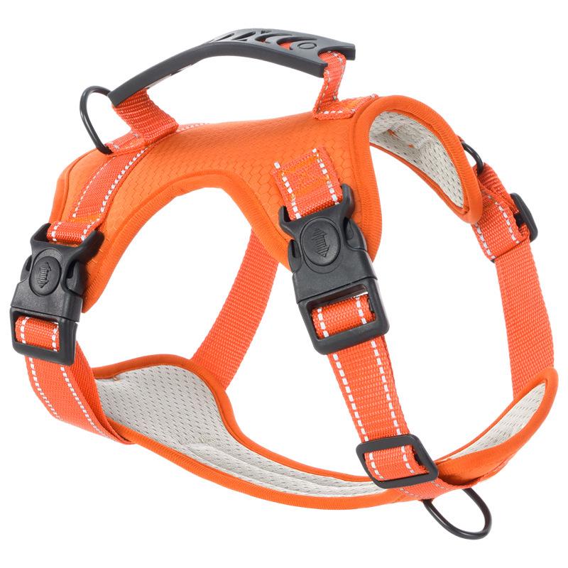 Набор шлейки и поводка для собаки породы корги - Жилет для собаки малого и среднего размера