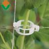 Plant and Vine Support Clips for Melons, Fruits, and Tomato Plants