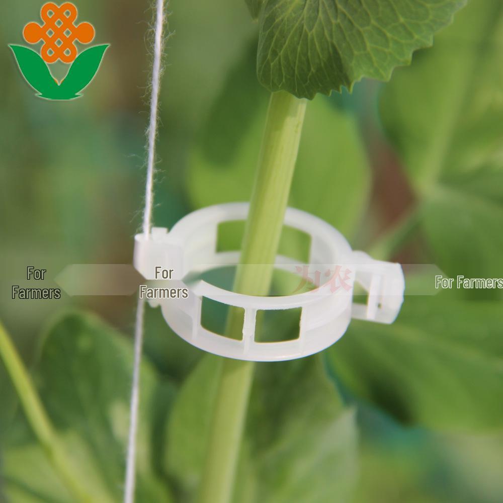 Plant and Vine Support Clips for Melons, Fruits, and Tomato Plants