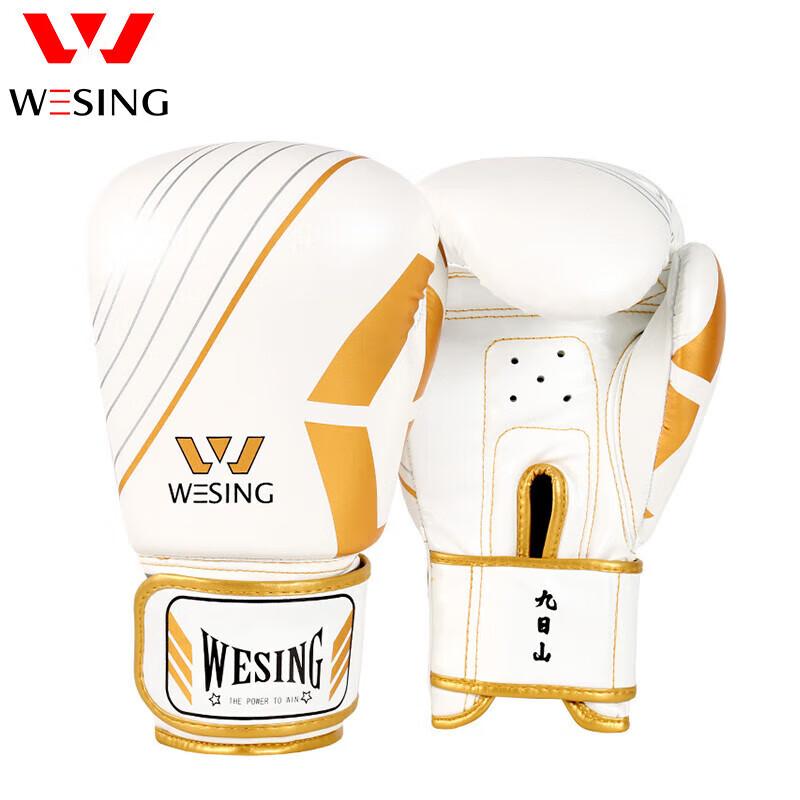 Jiu Ri Shan Boxing Gloves & Training Sets